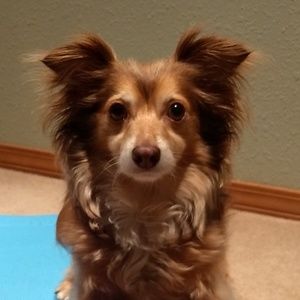 Meet your Posher, Ayla